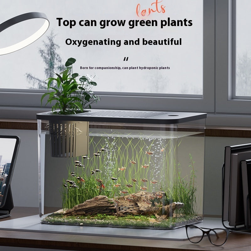 Ecological Betta Tank Living Room Mini Size Home