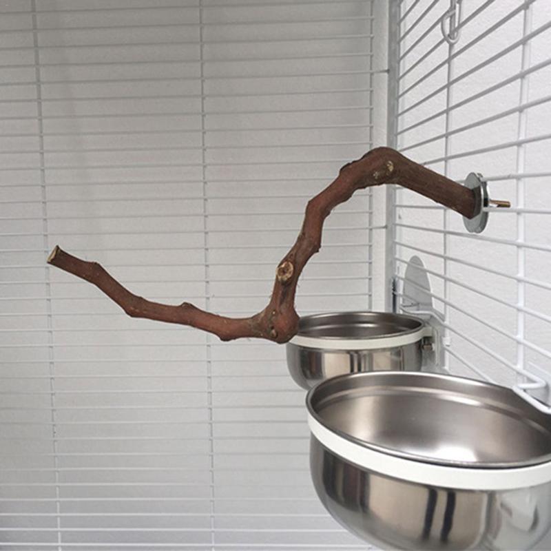 Bird Standing Stick Wild Grape Wood