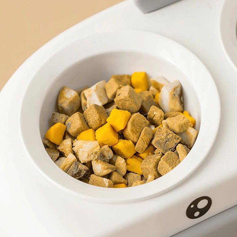 Duck Design Pet Double Feeding Bowl