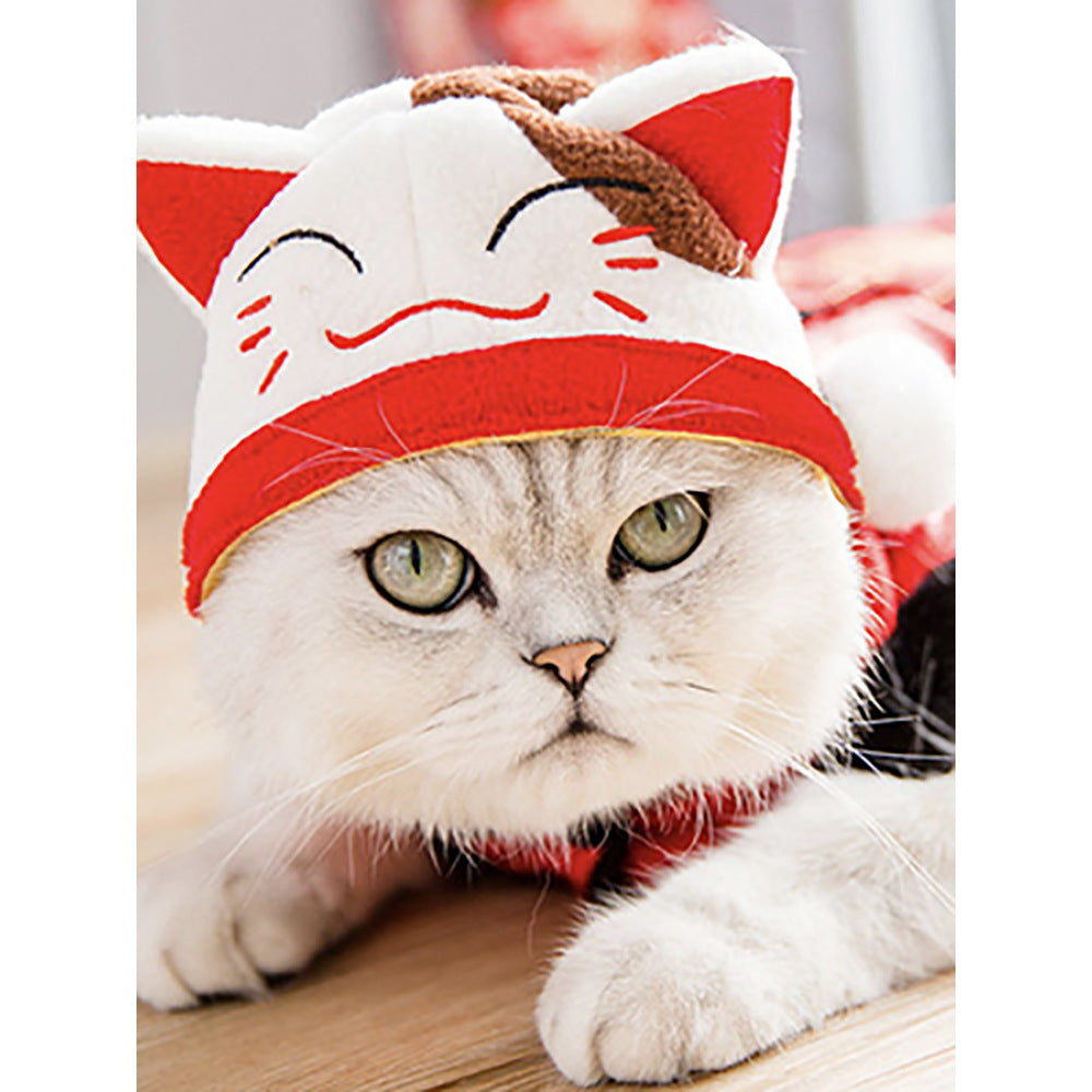 Curly Hair Pet Hat Cat Funny Dress Up