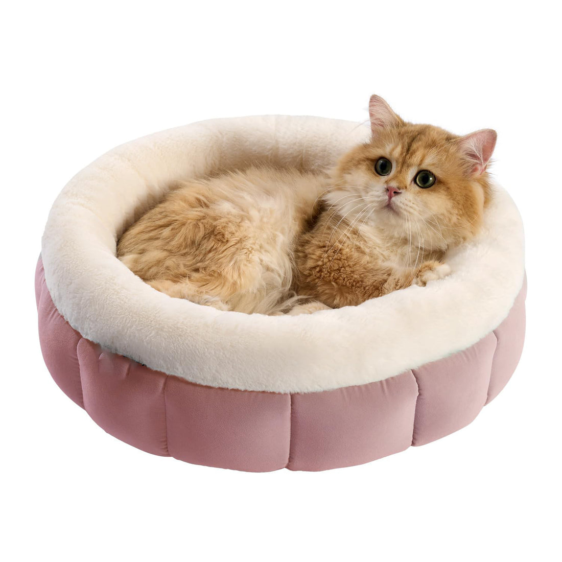 Washable Pet Bed For Puppy And Kittens