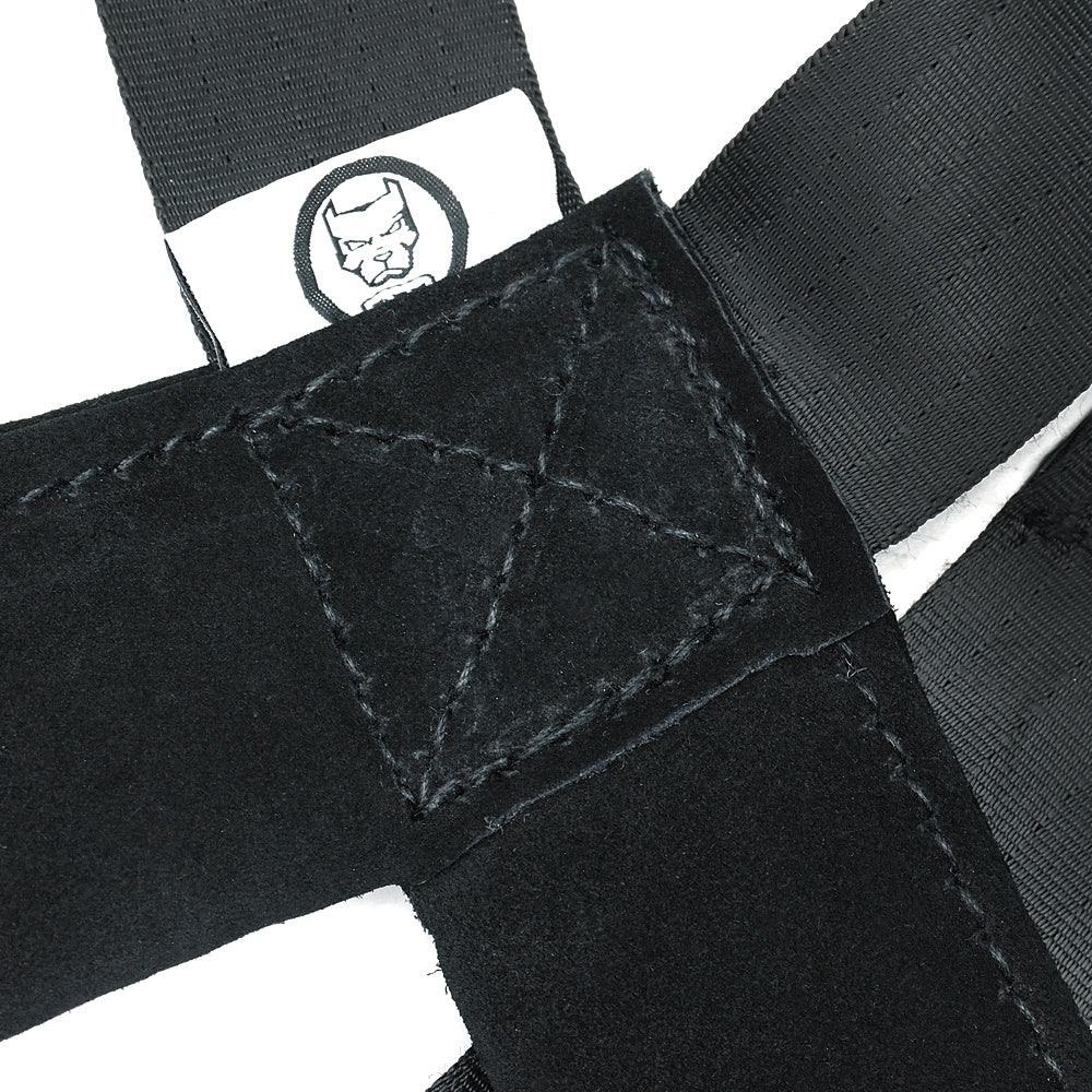 Dog Training Supplies Chest Straps Pet Leashes