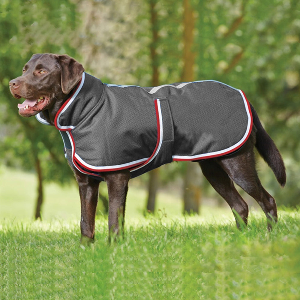 Winter Warm Pet Leisure Waterproof Jacket