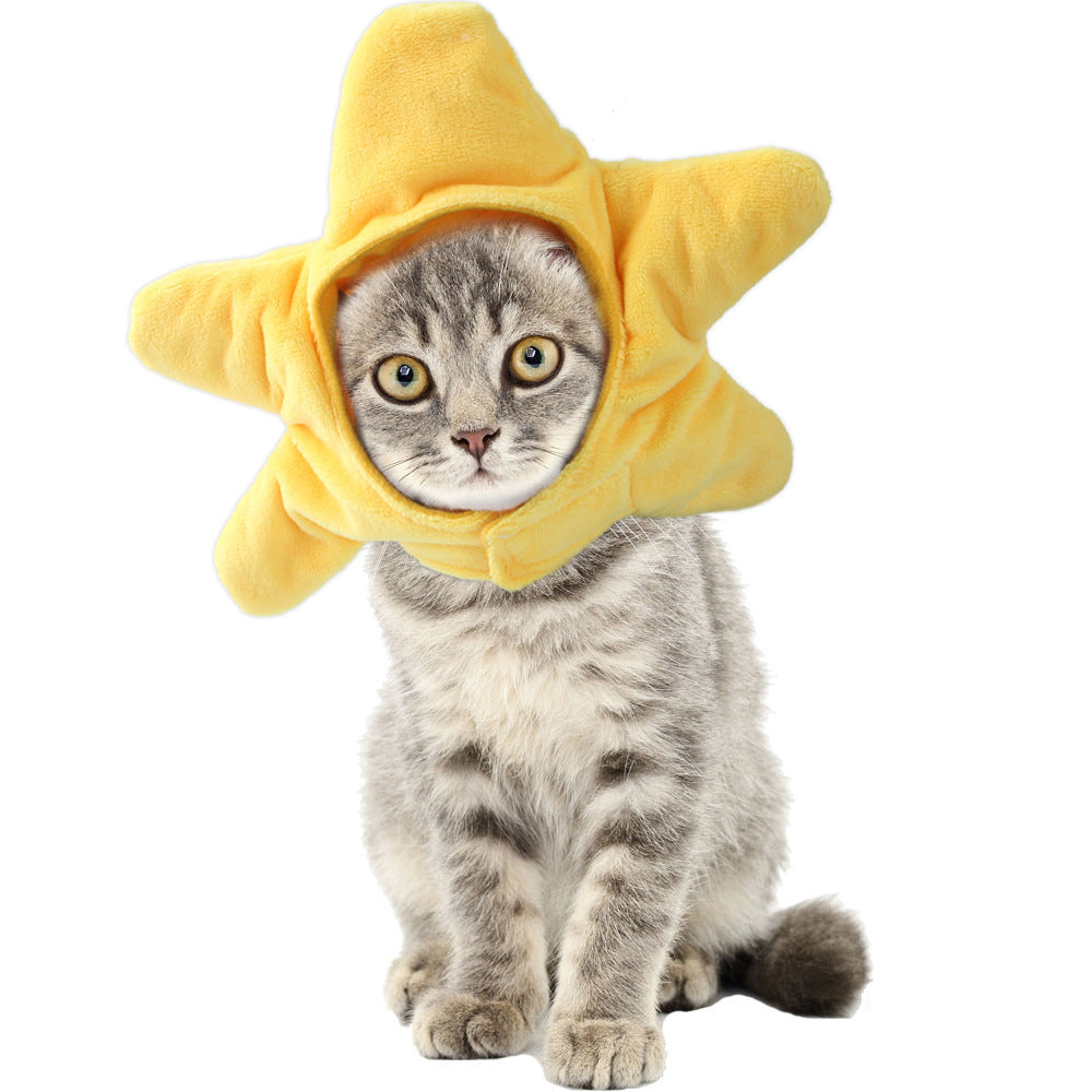 Curly Hair Pet Hat Cat Funny Dress Up