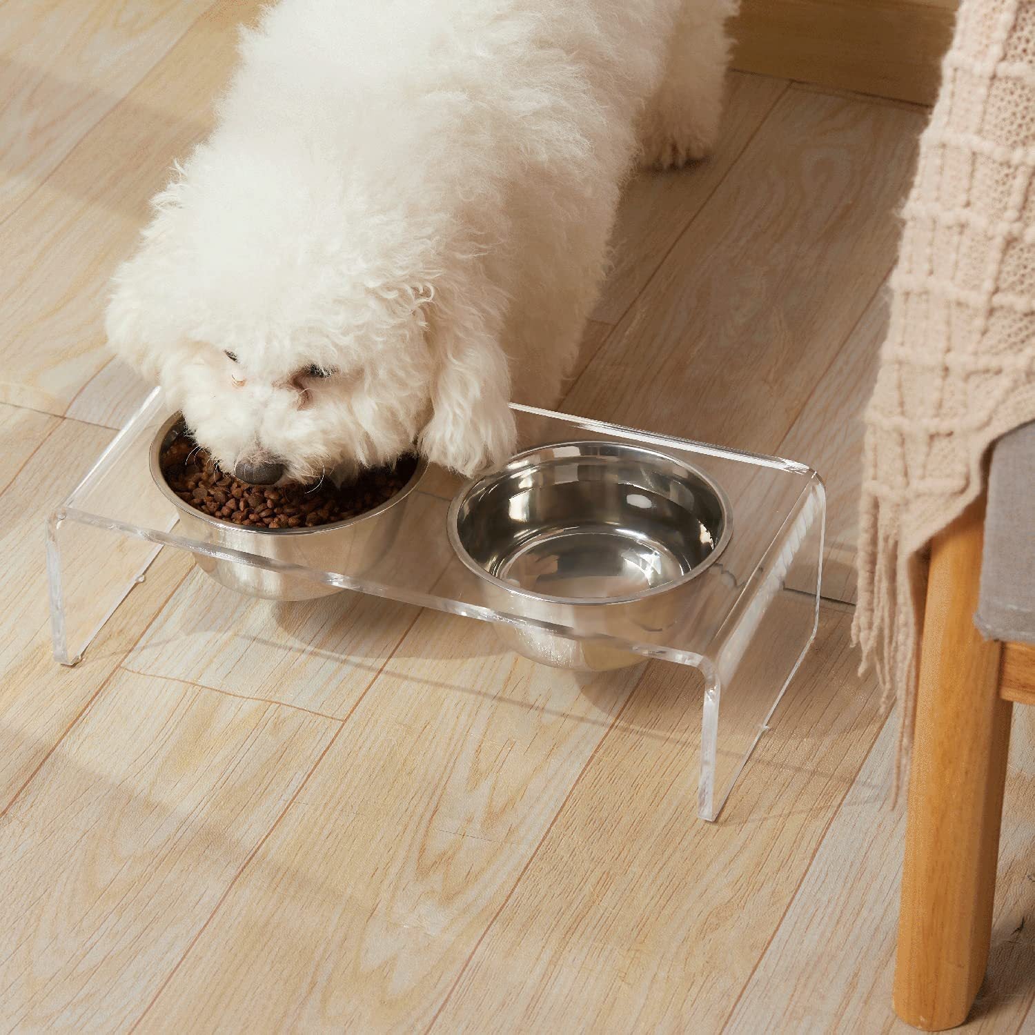 Acrylic Dogs And Cats Pet Feeder
