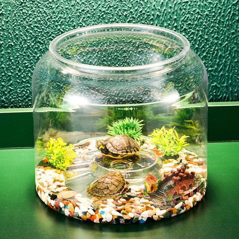 Transparent Plastic Ecological Desktop Feeding Fish Tank
