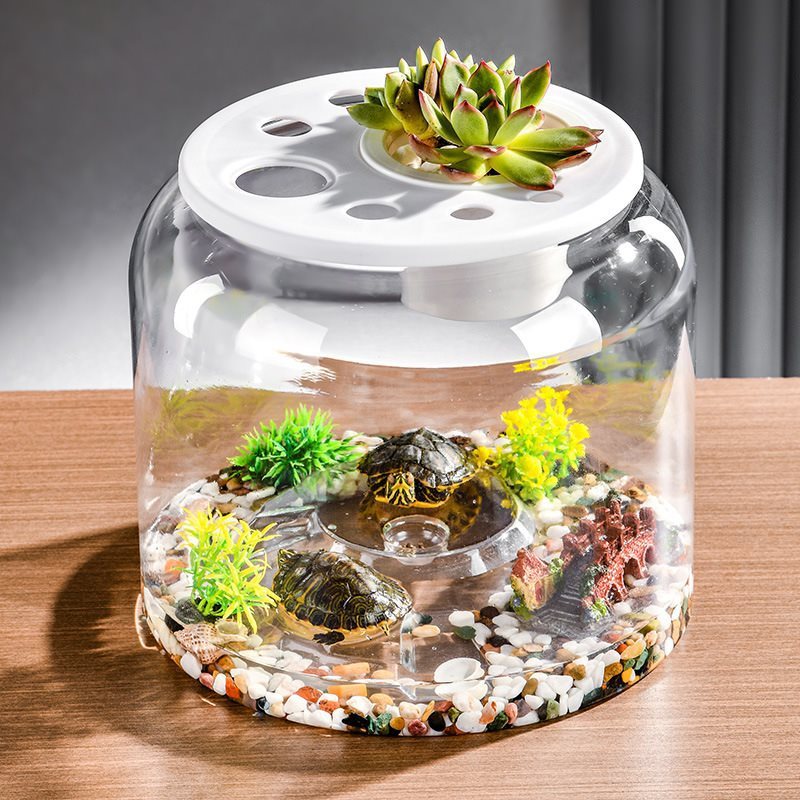 Transparent Plastic Ecological Desktop Feeding Fish Tank