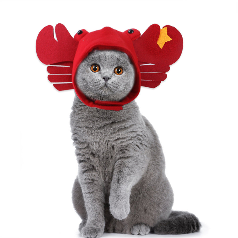 Curly Hair Pet Hat Cat Funny Dress Up