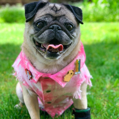 Pet Dog Washed Denim Jacket Clothes