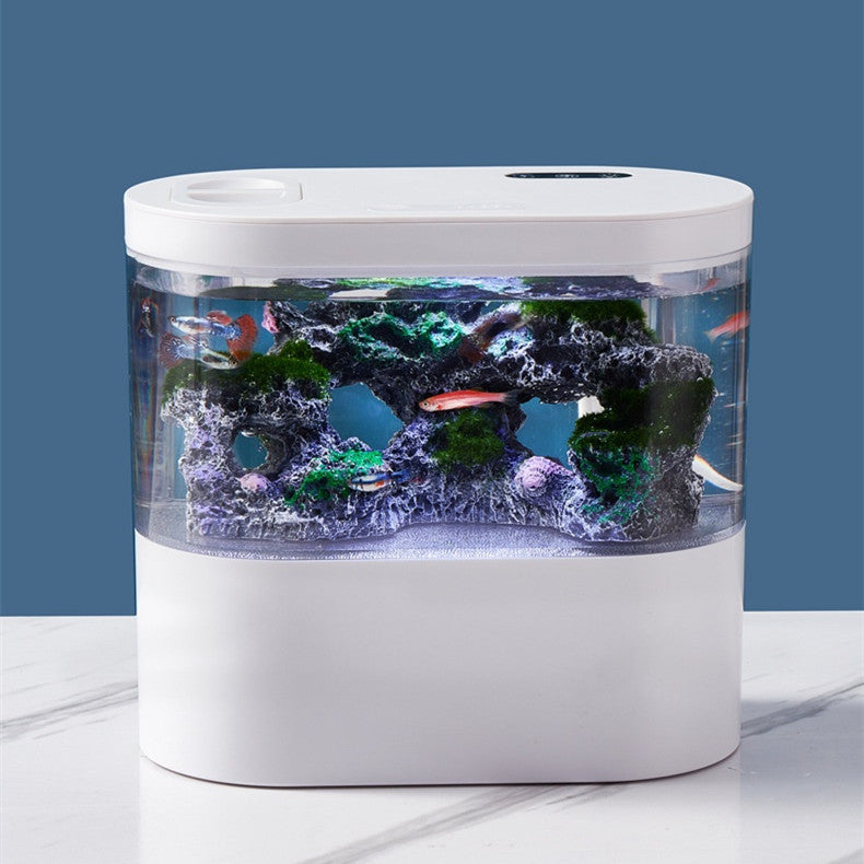 Aquarium Ecological Landscape Fish Tank