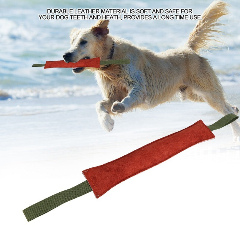 Dog Biting Stick Training