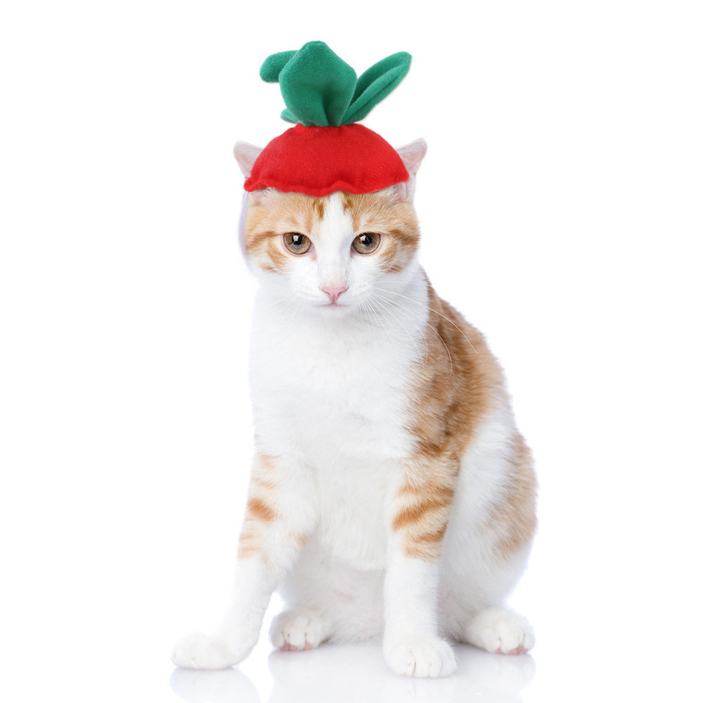 Curly Hair Pet Hat Cat Funny Dress Up
