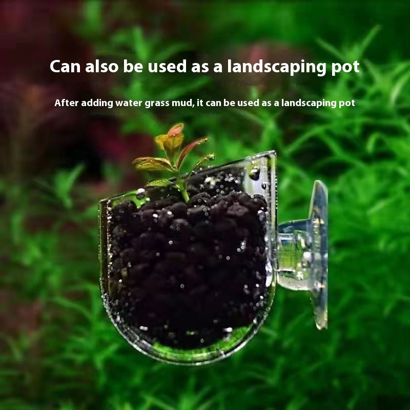 Transparent Feeding Landscape Cup For Fish Tank
