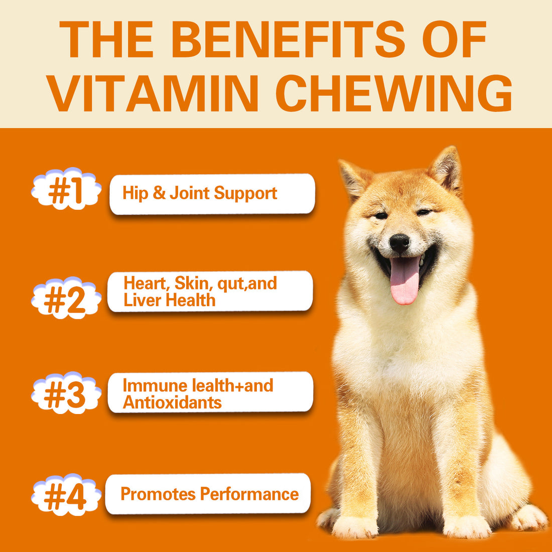 Pet Vitamin Multifunctional Health Care