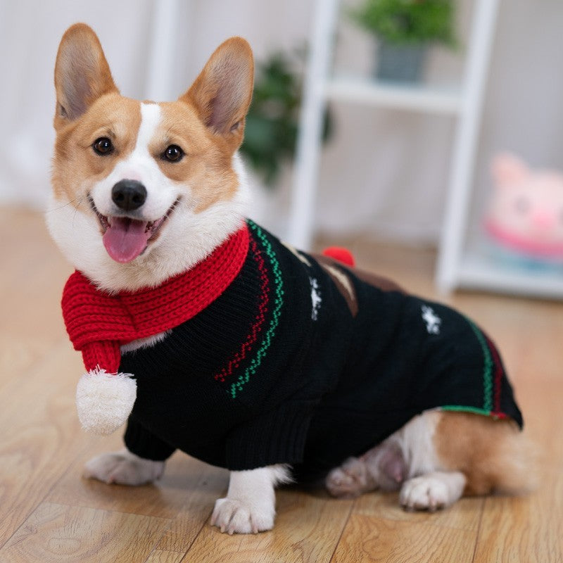 Padded Coat Pet Padded Winter Clothing