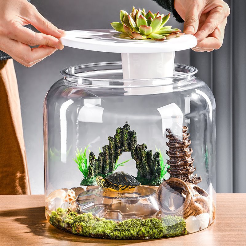 Transparent Plastic Ecological Desktop Feeding Fish Tank