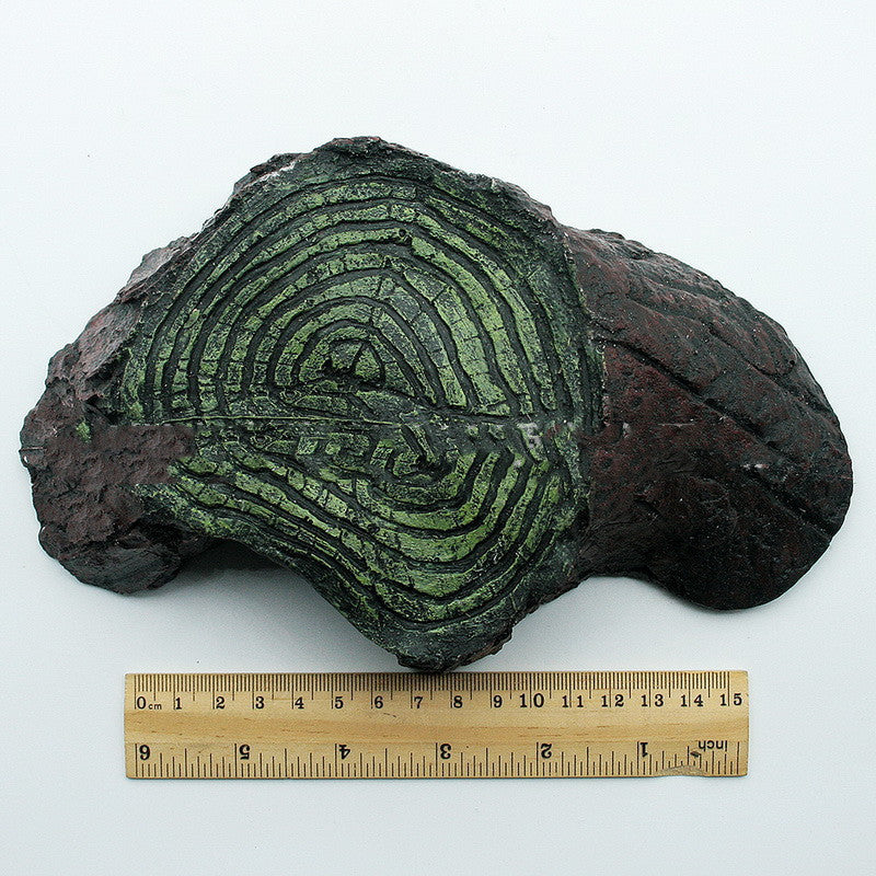 Fishing Supplies Balcony Climbing Rockery Balcony