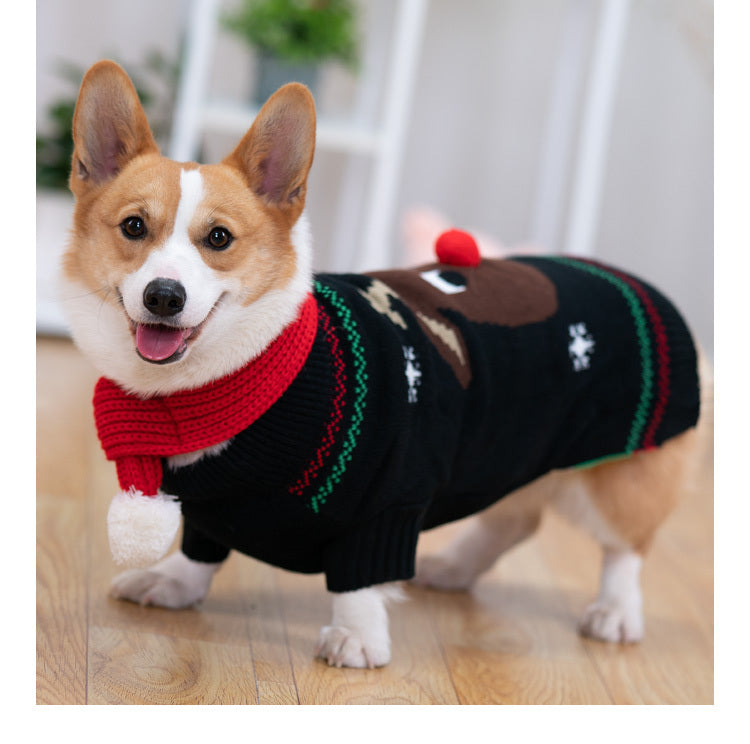 Padded Coat Pet Padded Winter Clothing