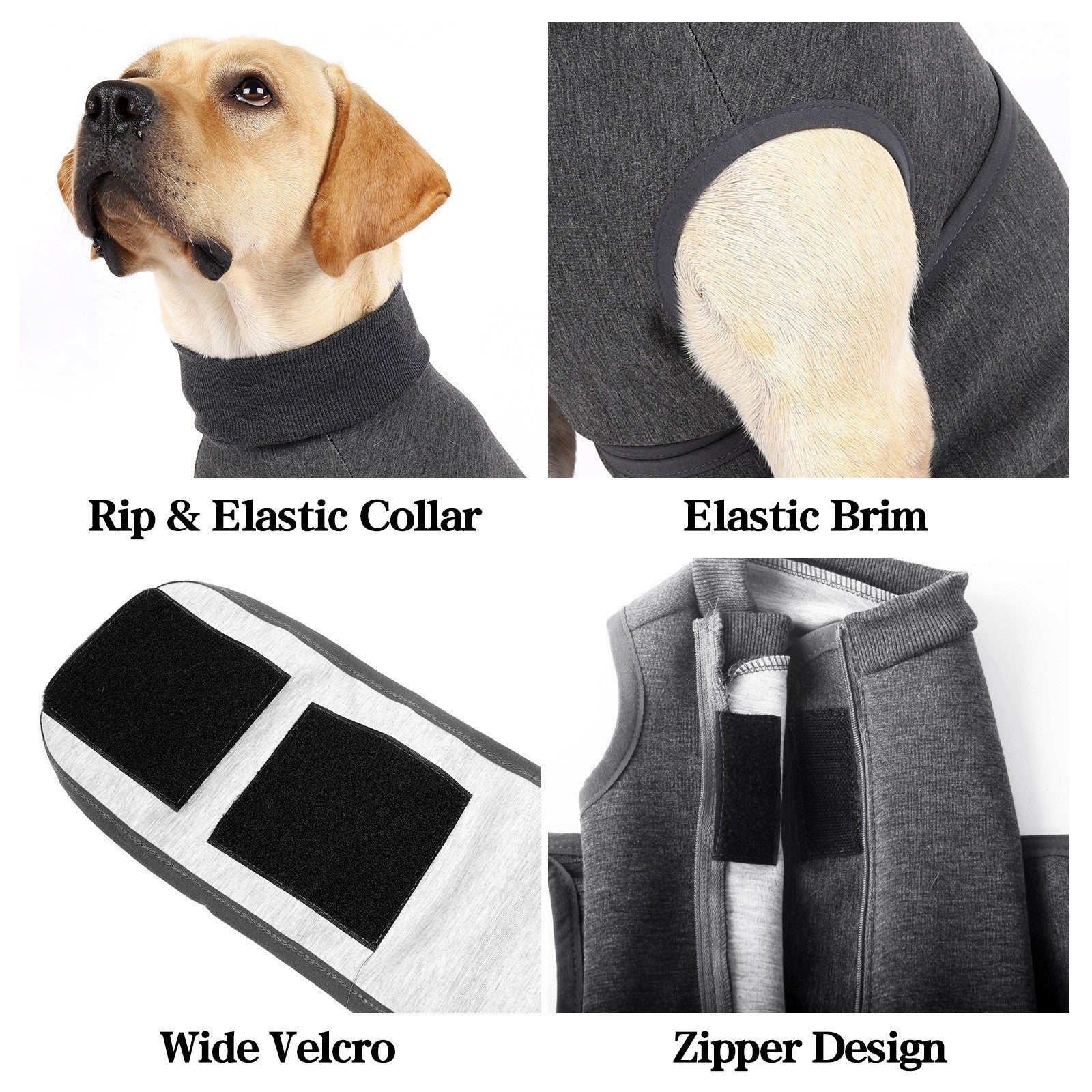 Pet Polyester Comfort Cotton Double Jacket