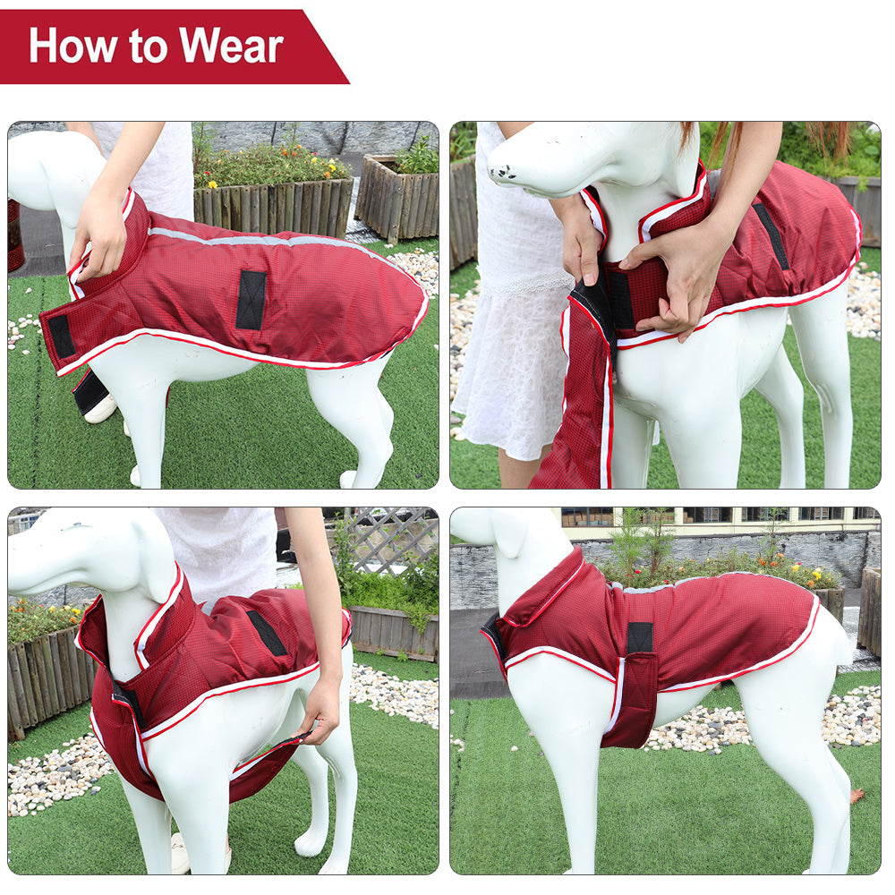 Winter Warm Pet Leisure Waterproof Jacket