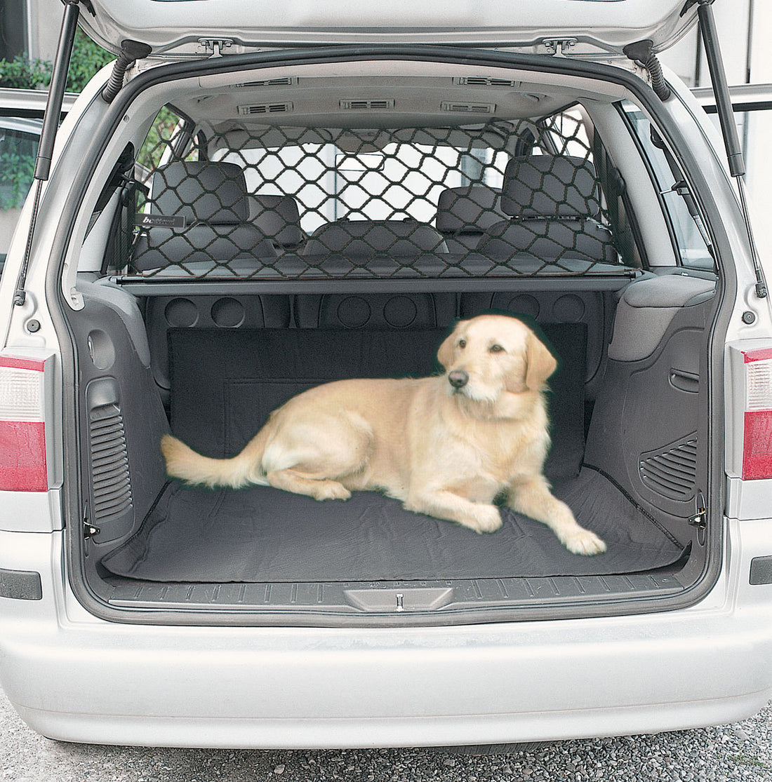 Dog Protective Net Car Isolation Fence