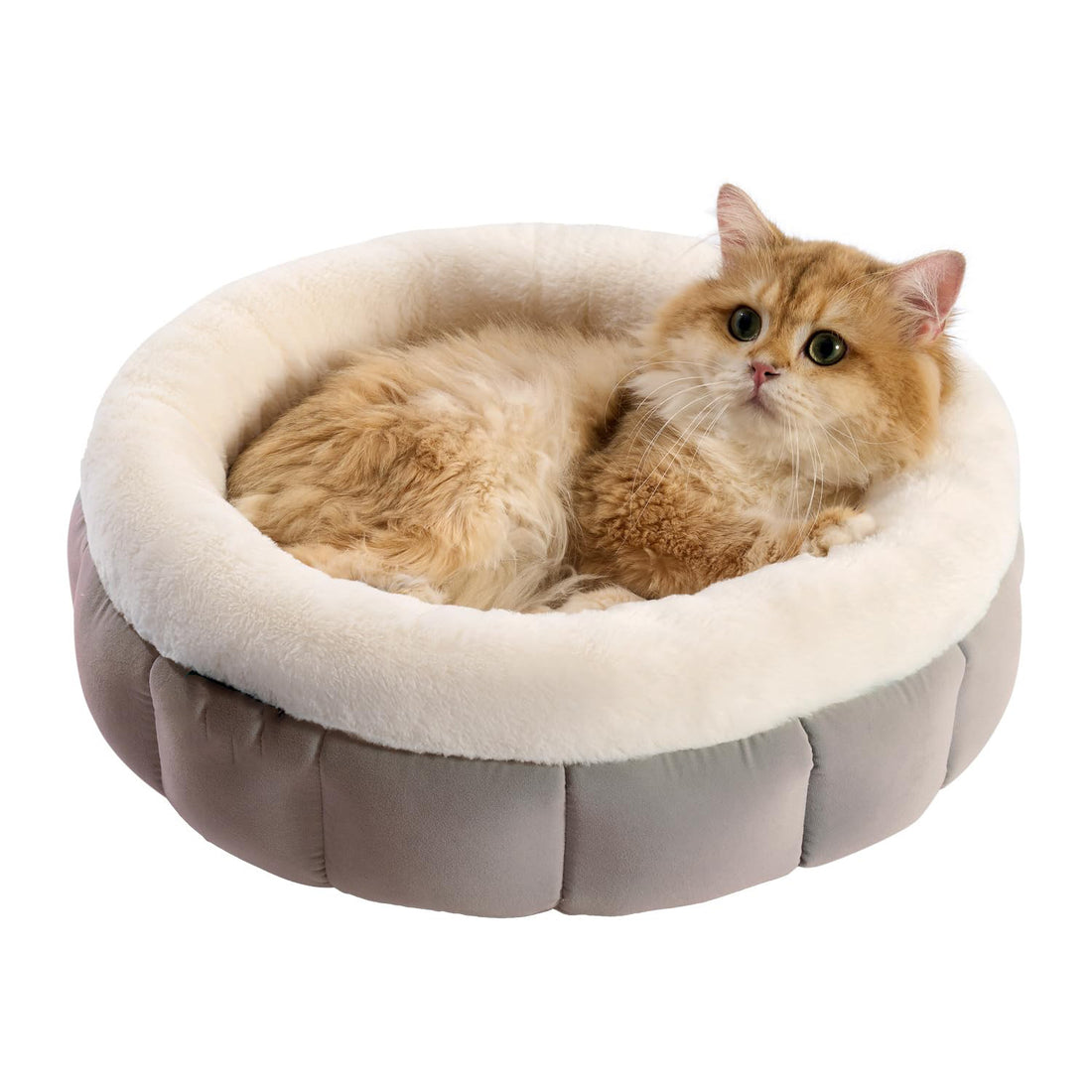 Washable Pet Bed For Puppy And Kittens